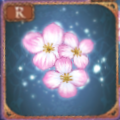 シラズの精花【R】.png